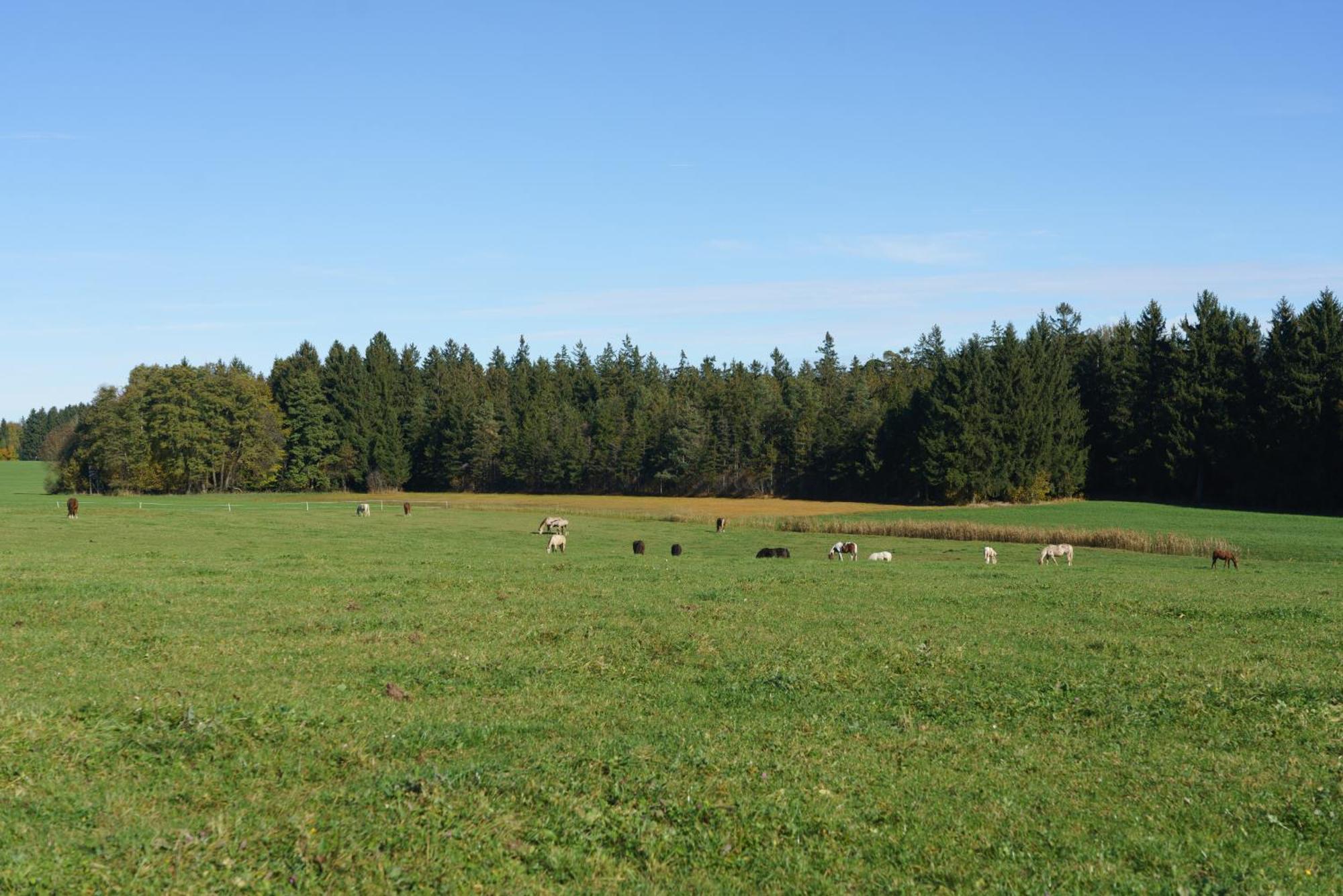 Private Farmhouse Escape - Ideal For Up To 8 Guests Seeham Extérieur photo